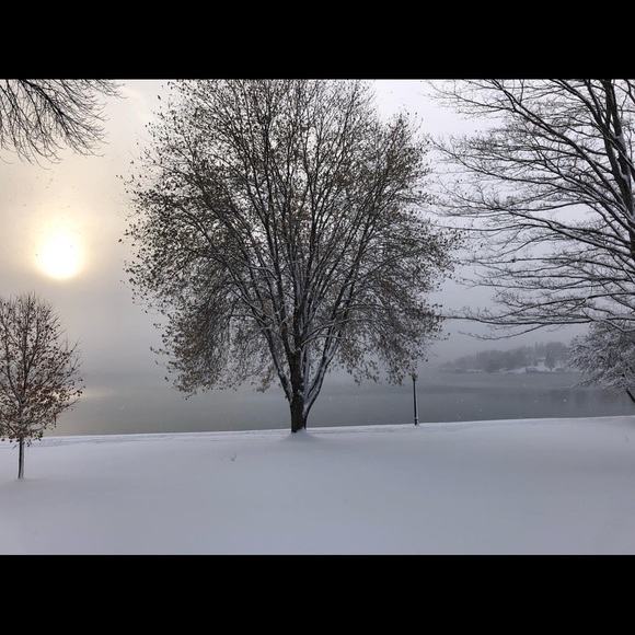 Meet your Posher, Sally - Picture 3 of 5